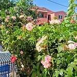 Valia Hotel