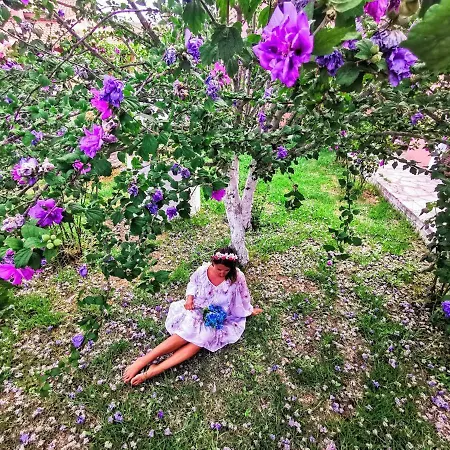 Valia 5* Acharavi (Corfu)