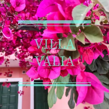 Hotel Valia Acharavi (Corfu)